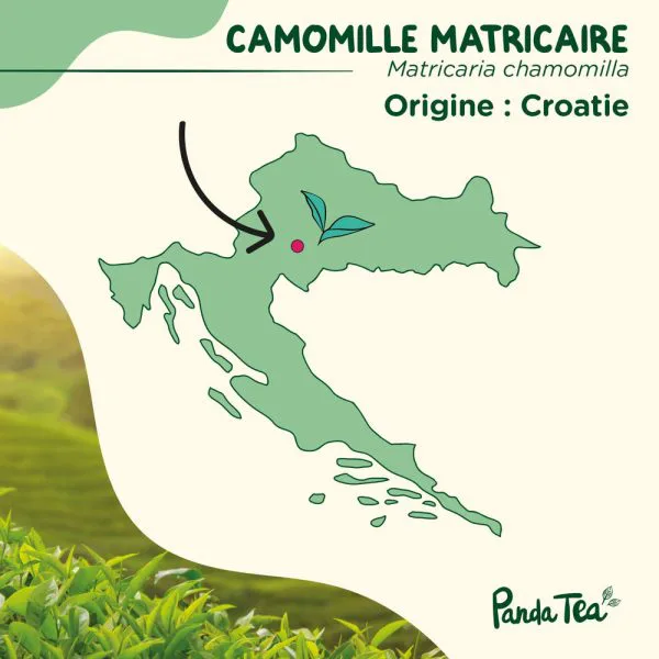 Camomille matricaire sechee bio 4a104940 - thé & infusion pandatee.shop