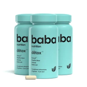 Detox 3 mois 62b6c97f - thé & infusion pandatee.shop