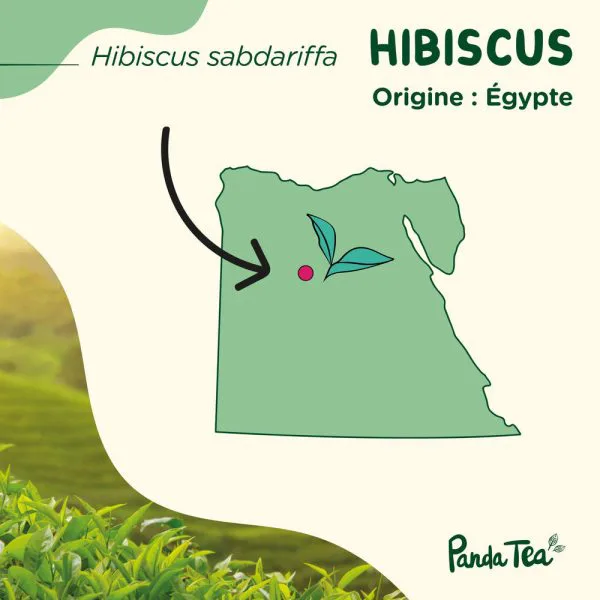 Fleurs dhibiscus sechees bio 203adb08 - thé & infusion pandatee.shop