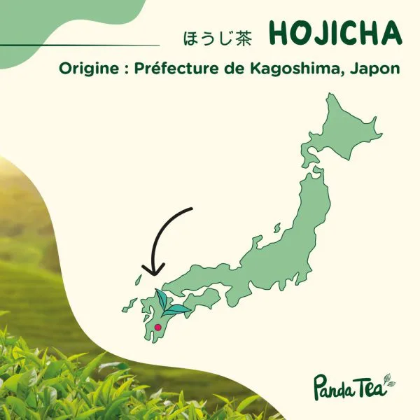 Hojicha bio ec263bc0 - thé & infusion pandatee.shop