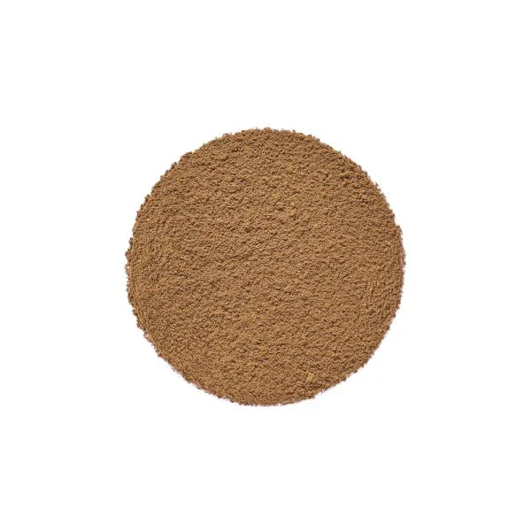 Hojicha bio en poudre aefdf45d - thé & infusion pandatee.shop