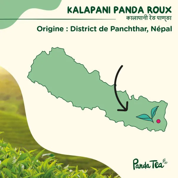Kalapani panda roux bio 9f0e2c7a - thé & infusion pandatee.shop