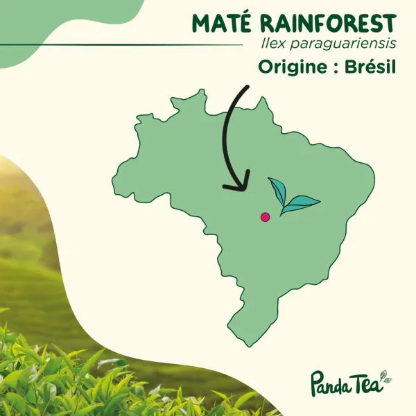 Mate rainforest bio 74d37b76 - thé & infusion pandatee.shop