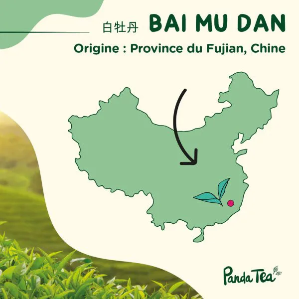 Pai mu tan bai mu dan bio 22ecd484 - thé & infusion pandatee.shop