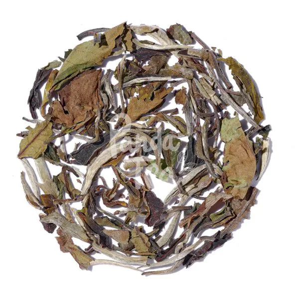 Pai mu tan bai mu dan bio 516363ba - thé & infusion pandatee.shop