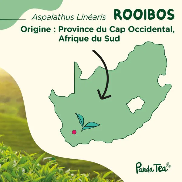 Rooibos bio fa727525 - thé & infusion pandatee.shop