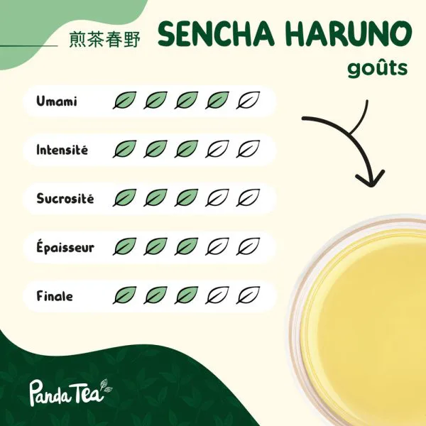 Sencha haruno bio 74612522 - thé & infusion pandatee.shop