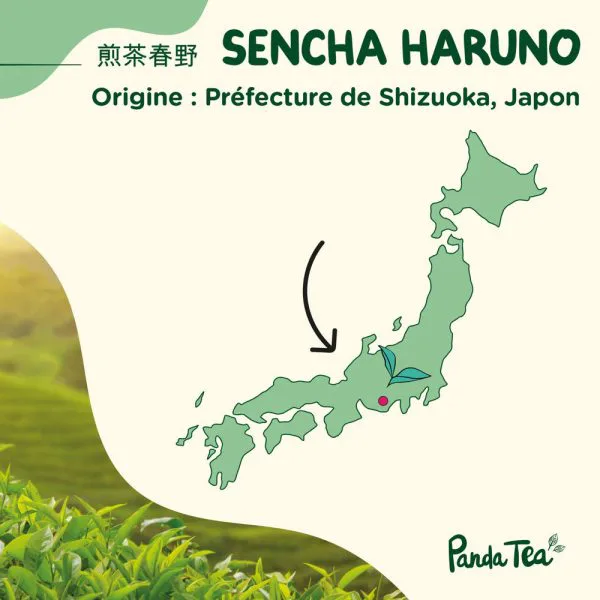Sencha haruno bio fd1f772c - thé & infusion pandatee.shop