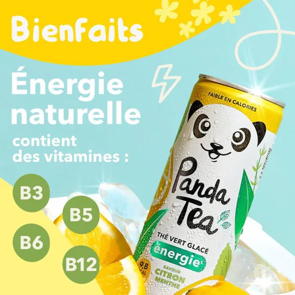 The glace energie saveur citron menthe 0c5d3680 - thé & infusion pandatee.shop