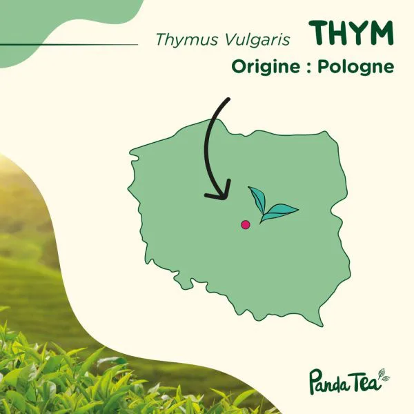 Thym seche bio b4e9ef04 - thé & infusion pandatee.shop